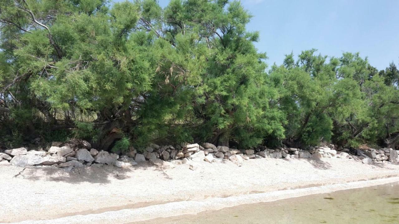 Apartmani Neva, Pridraga Dış mekan fotoğraf
