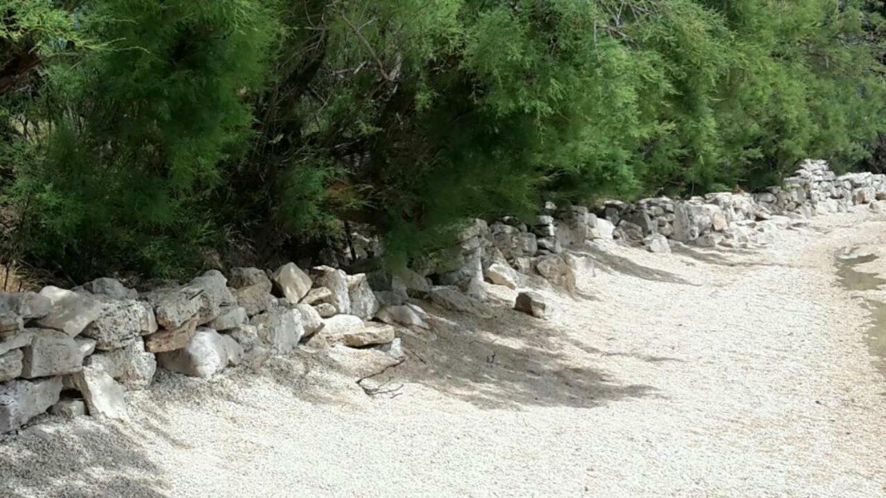 Apartmani Neva, Pridraga Dış mekan fotoğraf